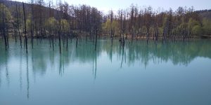 青い池